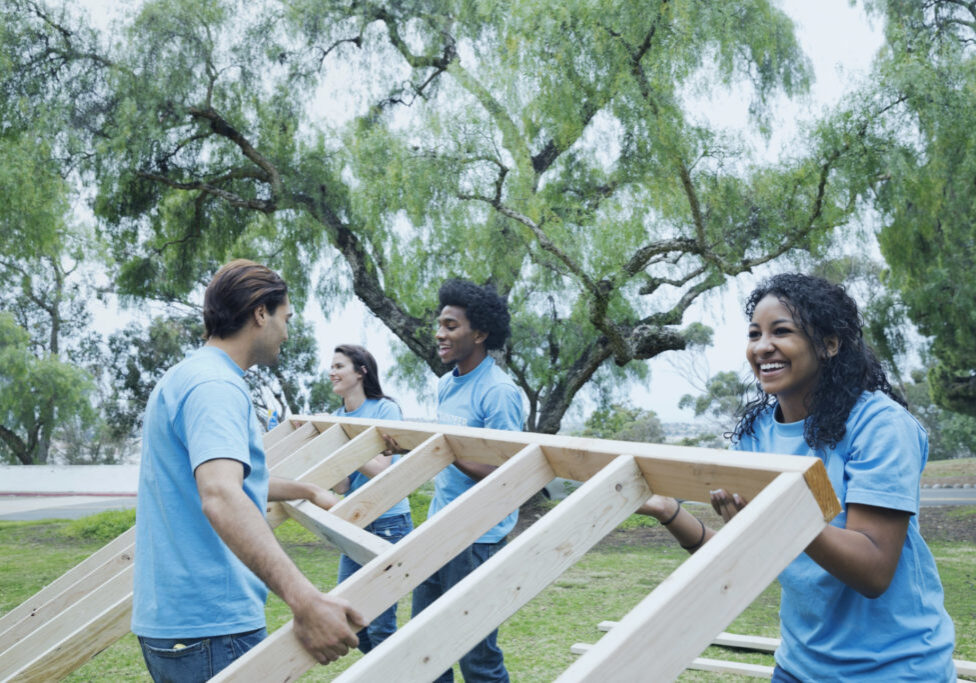 Young adults volunteers